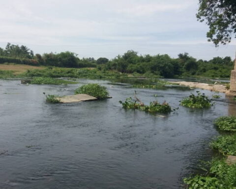 Guantánamo, Río Guaso, Ríos