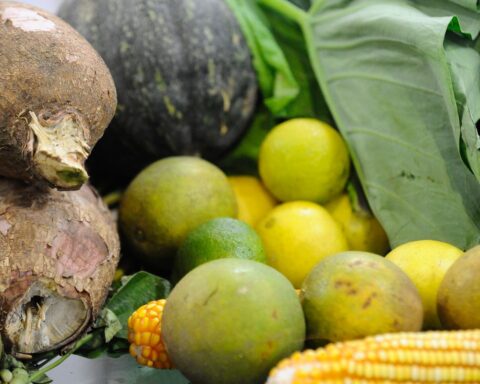 Guide from the Ministry of Health provides tips for feeding children