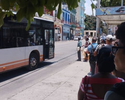 Havana will condition the Belgian buses in the face of complaints about the unbearable heat