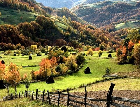 Having a healthy environment was declared as a universal human right