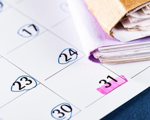 How many holidays remain in 2022 after the National Holidays