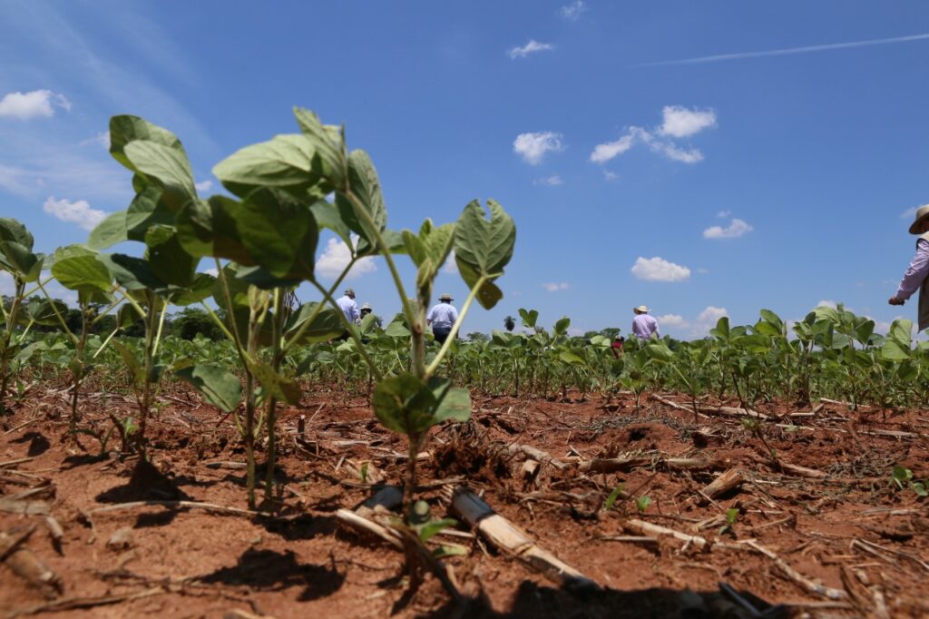 Income product is what the small Paraguayan producer needs