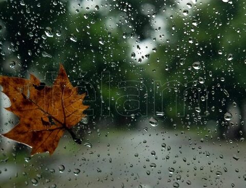 Isolated storms and humidity continue in the AMBA