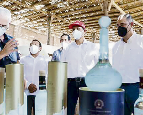 Jorge Prado: Produce hired the minister's nephew for S / 42,000, but he denies knowing it