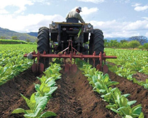 Maduro government cedes one million hectares of farmland to Iran