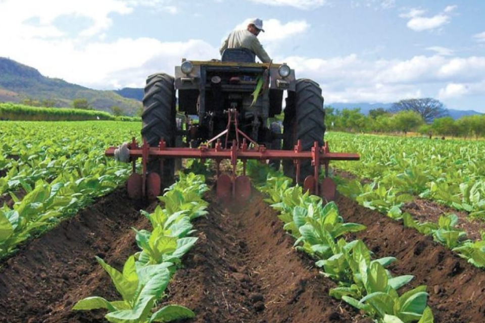 Maduro government cedes one million hectares of farmland to Iran