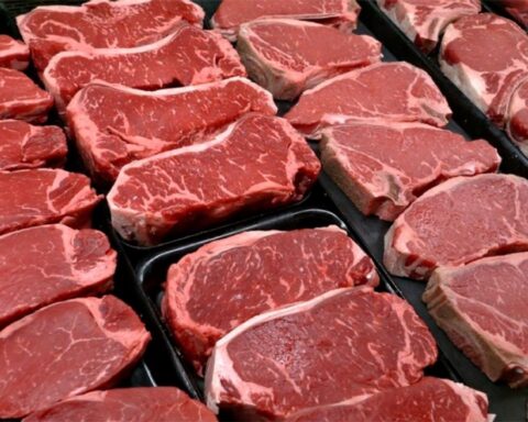 Meat: the Government renewed the Care Cuts program