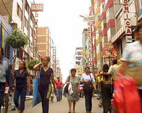 Message to the Nation: Pedro Castillo's statements about employment and economic growth are questioned