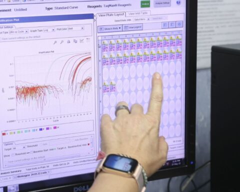 Monkeypox: the authorities confirmed three new infections, two of them are from the capital