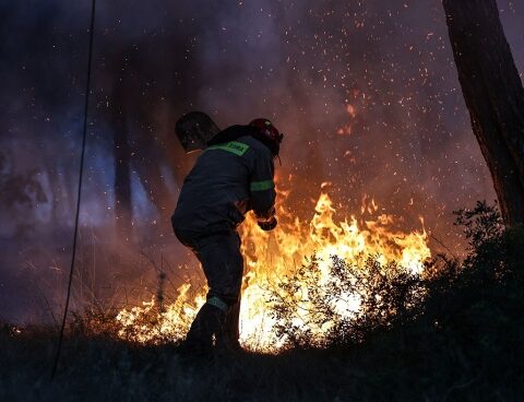More than 300 firefighters battle a huge fire in a national park