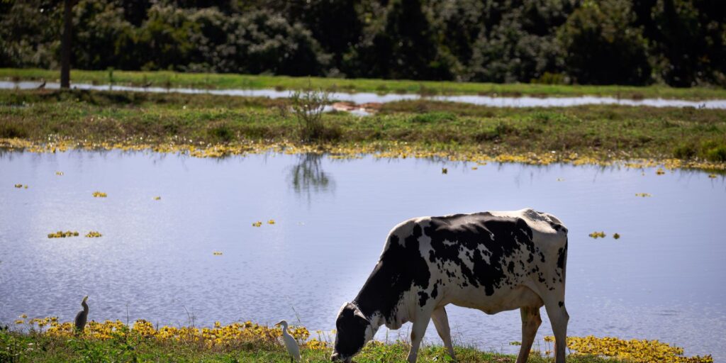 National Milk Forum discusses perspectives for the sector