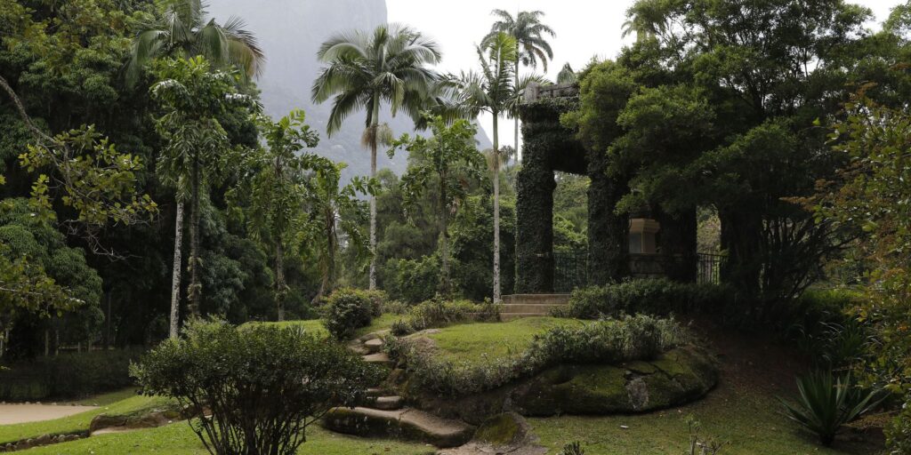 Photographic collection of the Botanical Garden of Rio will be revitalized