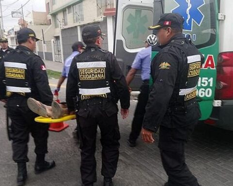 Pitbull dog bites night watchman in Arequipa while trying to remove drinkers