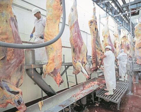 "Pork inflation is negative": leader of Porkcolombia