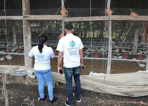 Pro Consumer assures chicken price will drop