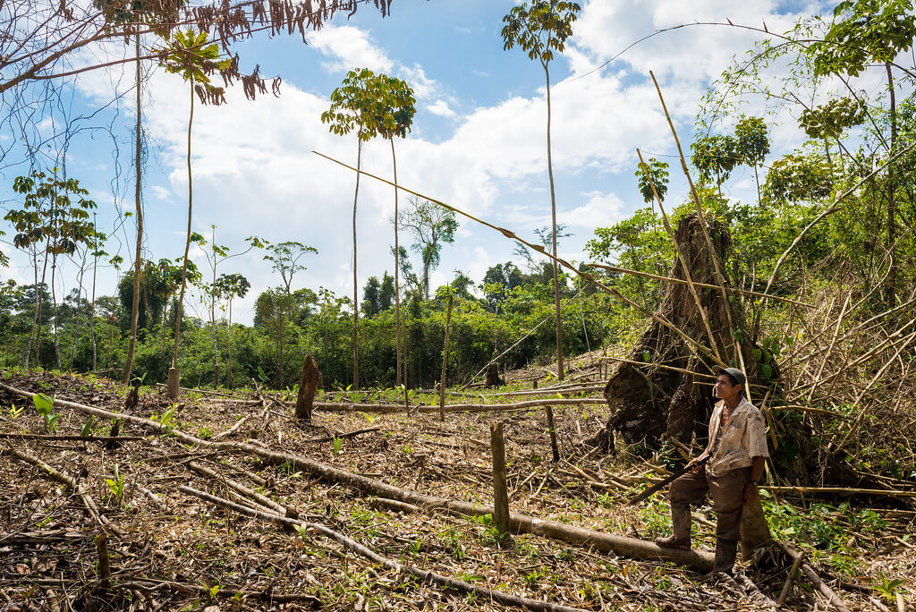 Regime "delivery" indigenous territories for mining exploitation