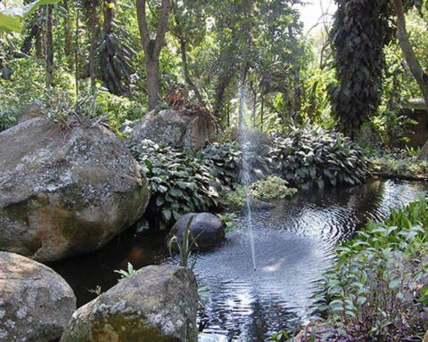 Roberto Burle Marx site, a legacy for humanity