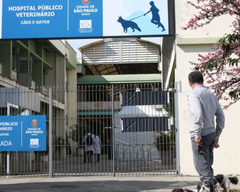 São Paulo opens new public veterinary hospital unit