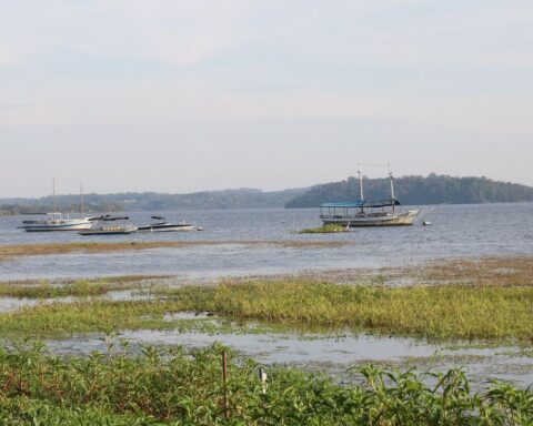 São Paulo will have a 170 km trail connecting parks in the south zone