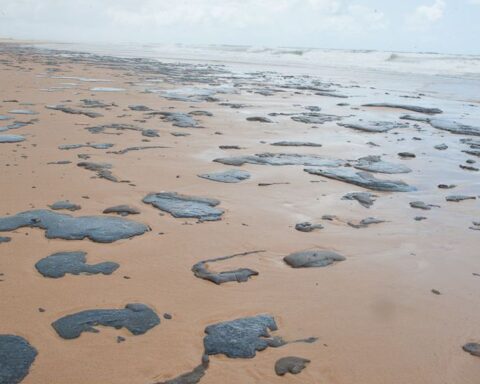 Seminar discusses 2019 oil spill research