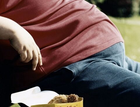 Social and prepaid works must cover specific treatments against obesity