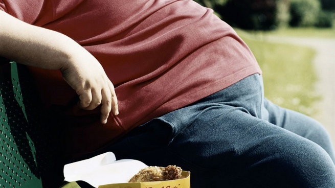 Social and prepaid works must cover specific treatments against obesity