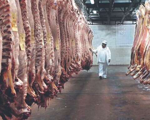 South Korea enables Uruguayan beef in block and in cuts