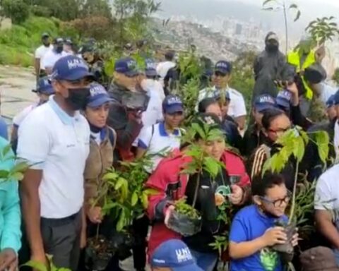 Students place 700 plants in the Sucre parish of Caracas