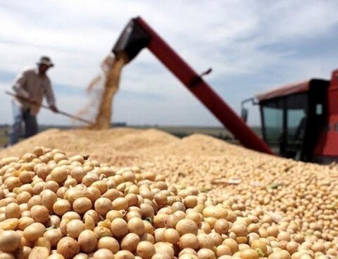 The BCRA expects to add some US$ 2,500 million with incentives for soybean exports