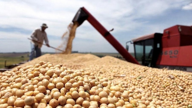 The BCRA expects to add some US$ 2,500 million with incentives for soybean exports