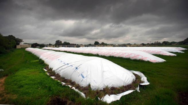 The Central approved an instrument to encourage the liquidation of the harvest