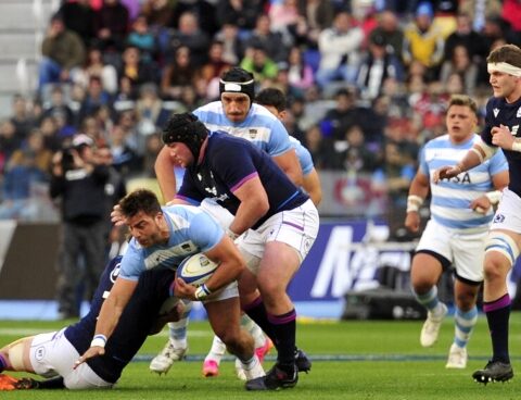 The Pumas, with a confirmed list to play against the Wallabies