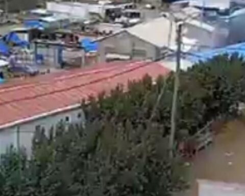 The amount of the stolen goods amounts to more than 29 thousand 700 dollars