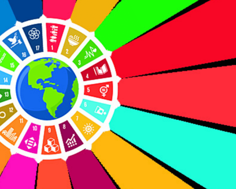 The future of university education