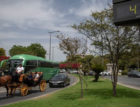 The heat wave continues and the forest fires persist