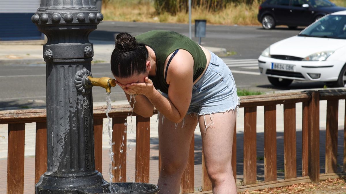 Ola de calor