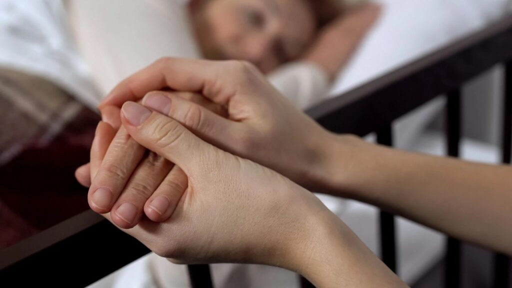 The keys to the palliative care law enacted by the Government