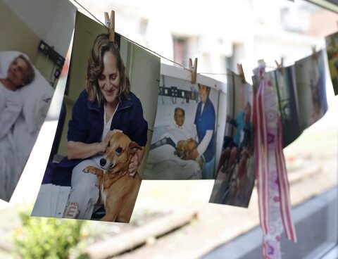 The new law ensures patients transit their disease "The best way possible"