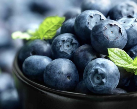 The opening of the Israeli market will benefit regional shipments of blueberries