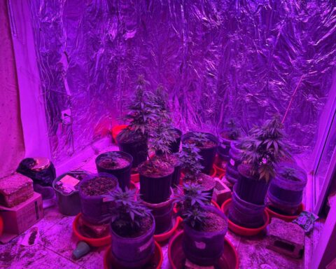 They arrest ten and occupy more than three thousand grams of substances after raids in La Altagracia