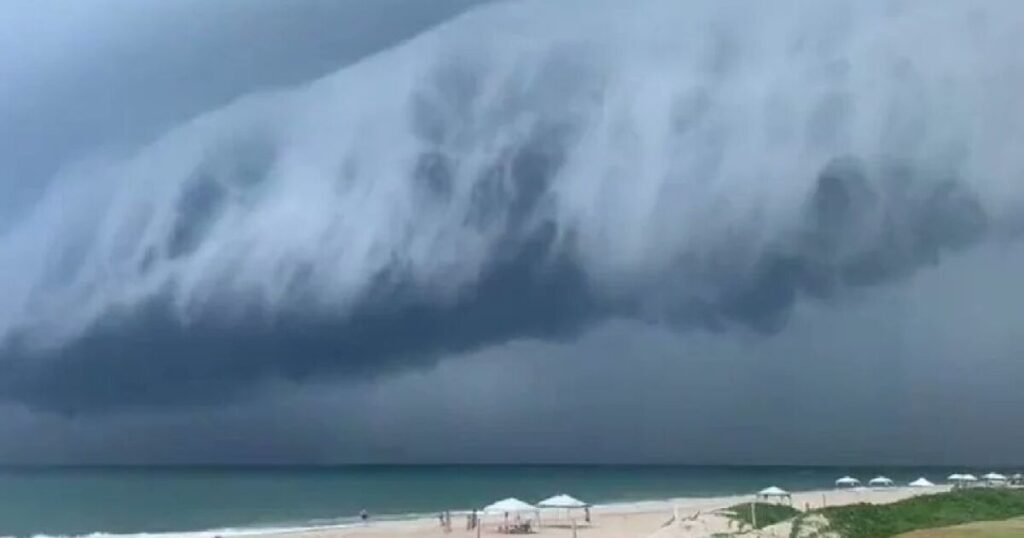 They capture 'belt cloud' on the beaches of Tamaulipas