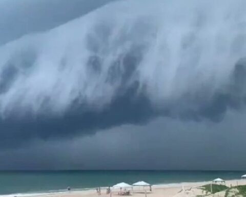 They capture 'belt cloud' on the beaches of Tamaulipas