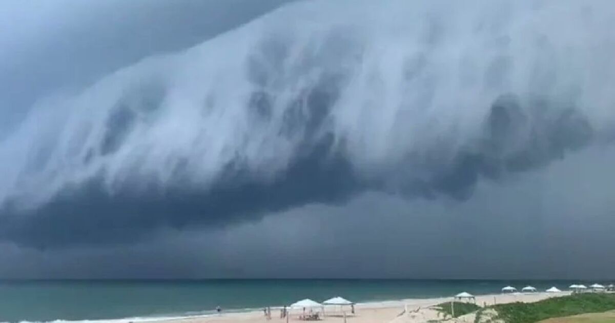 They capture 'belt cloud' on the beaches of Tamaulipas