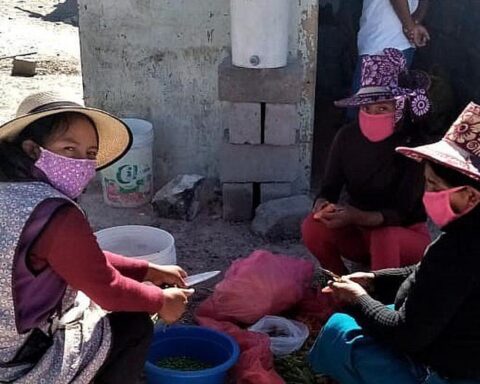 They would feed thousands of diners from common pots with the chickens acquired for the Government Palace