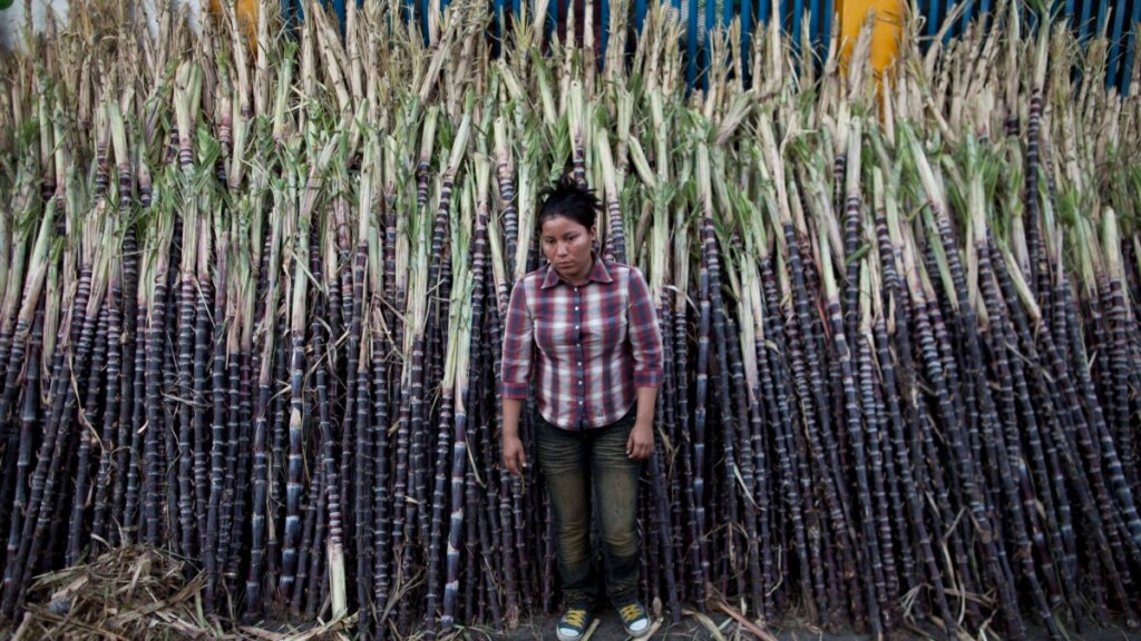 US points to Nicaraguan sugar as a means of pressure