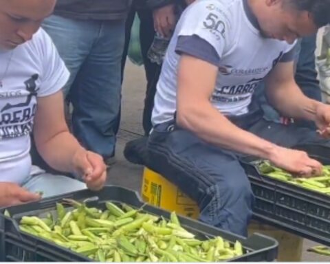 [Video] Exciting pea shelling tournament in Corabastos