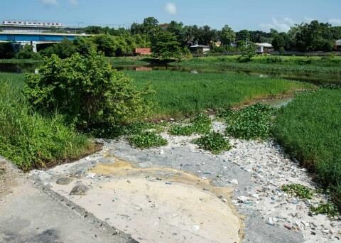 What they demand for the sanitation of the Ozama and Isabela rivers