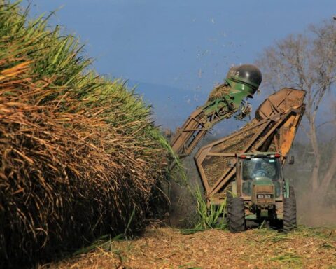 Withdrawal of sugar quota: message from the US to Ortega and businessmen