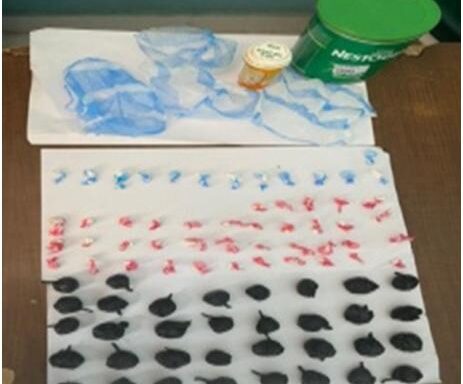 Apresan mujer en Santiago Rodríguez con 85 porciones presunta droga