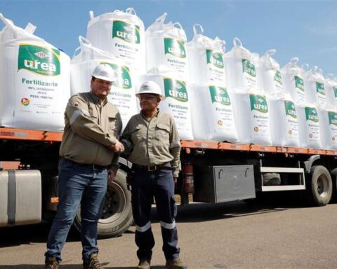 El 85% del fertilizante se fue al mercado de exportación/Foto: YPFB